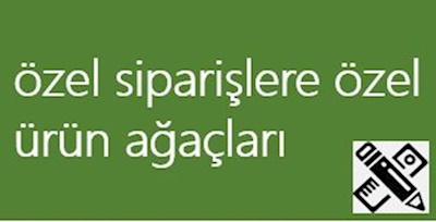 Özelleştirilmiş Üretim